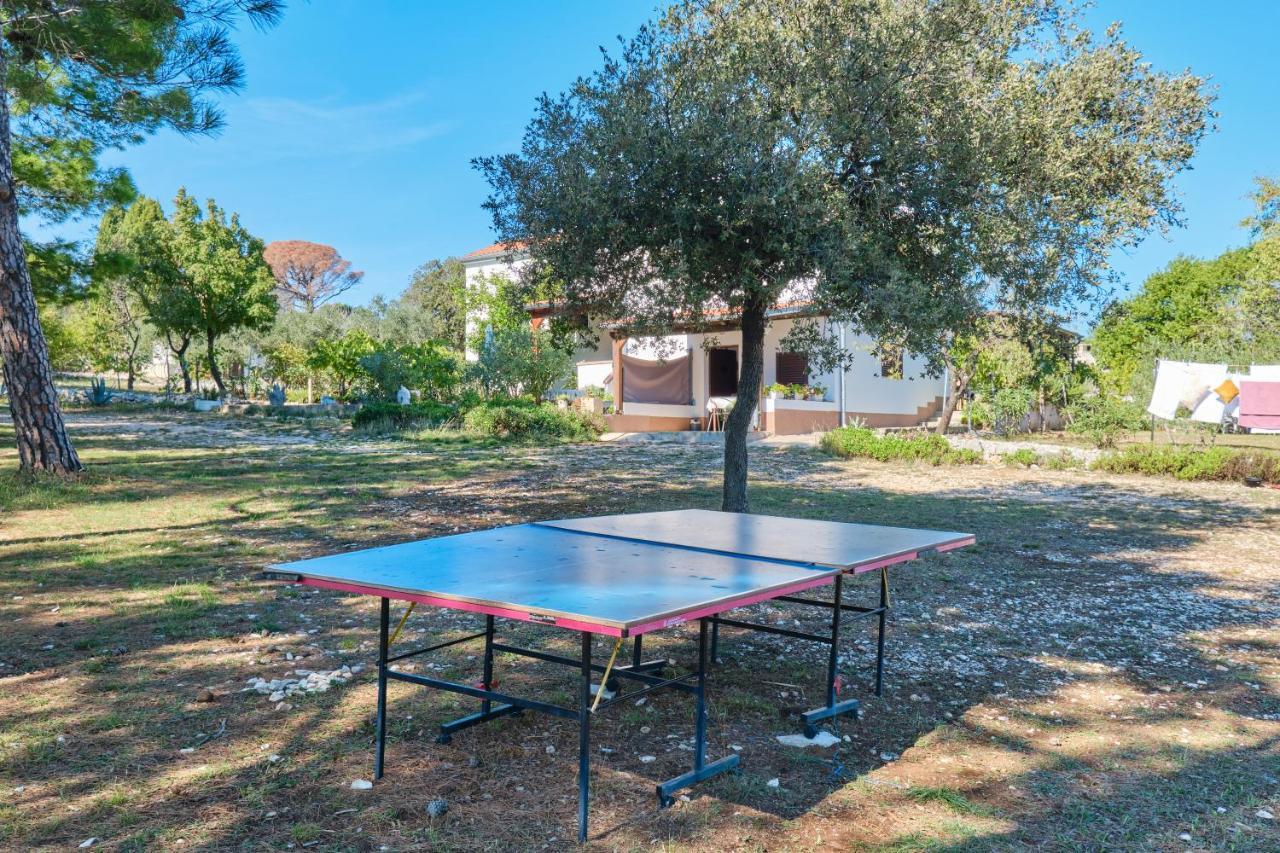 Eco Secluded Apartments Zabodarski Čunski Dış mekan fotoğraf