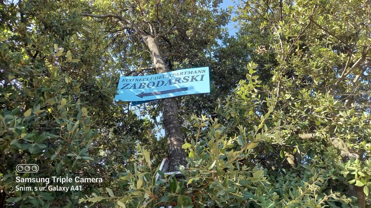 Eco Secluded Apartments Zabodarski Čunski Dış mekan fotoğraf