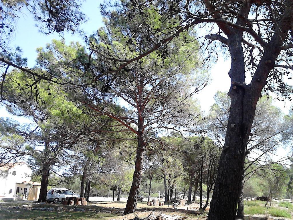 Eco Secluded Apartments Zabodarski Čunski Dış mekan fotoğraf