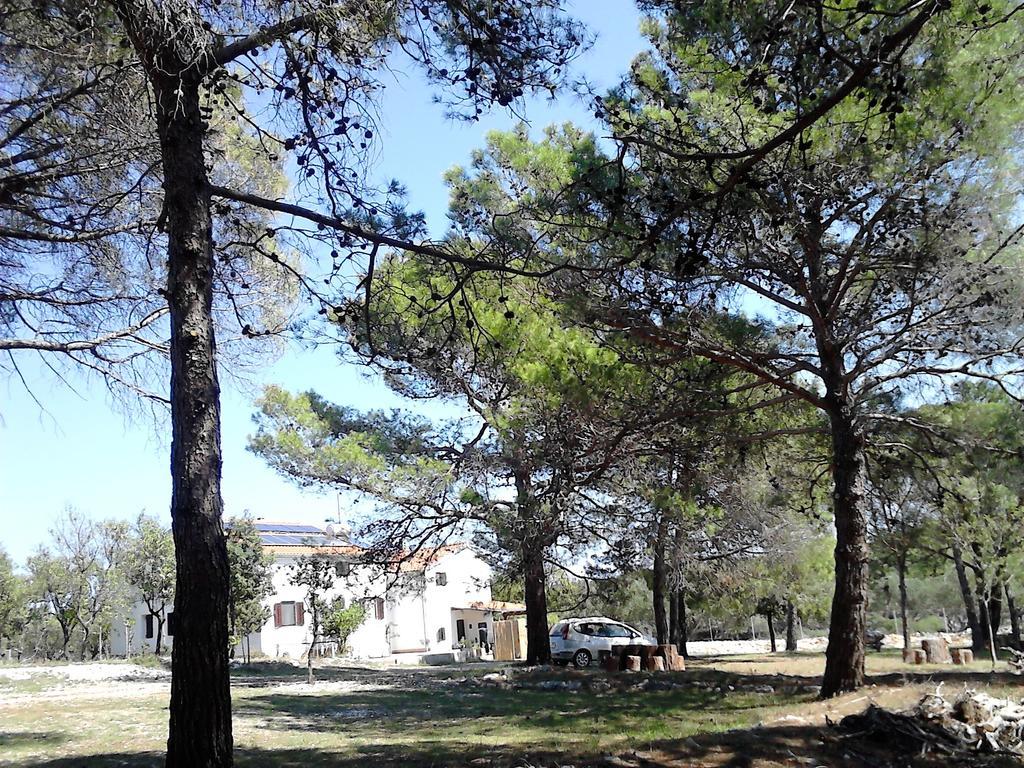 Eco Secluded Apartments Zabodarski Čunski Dış mekan fotoğraf