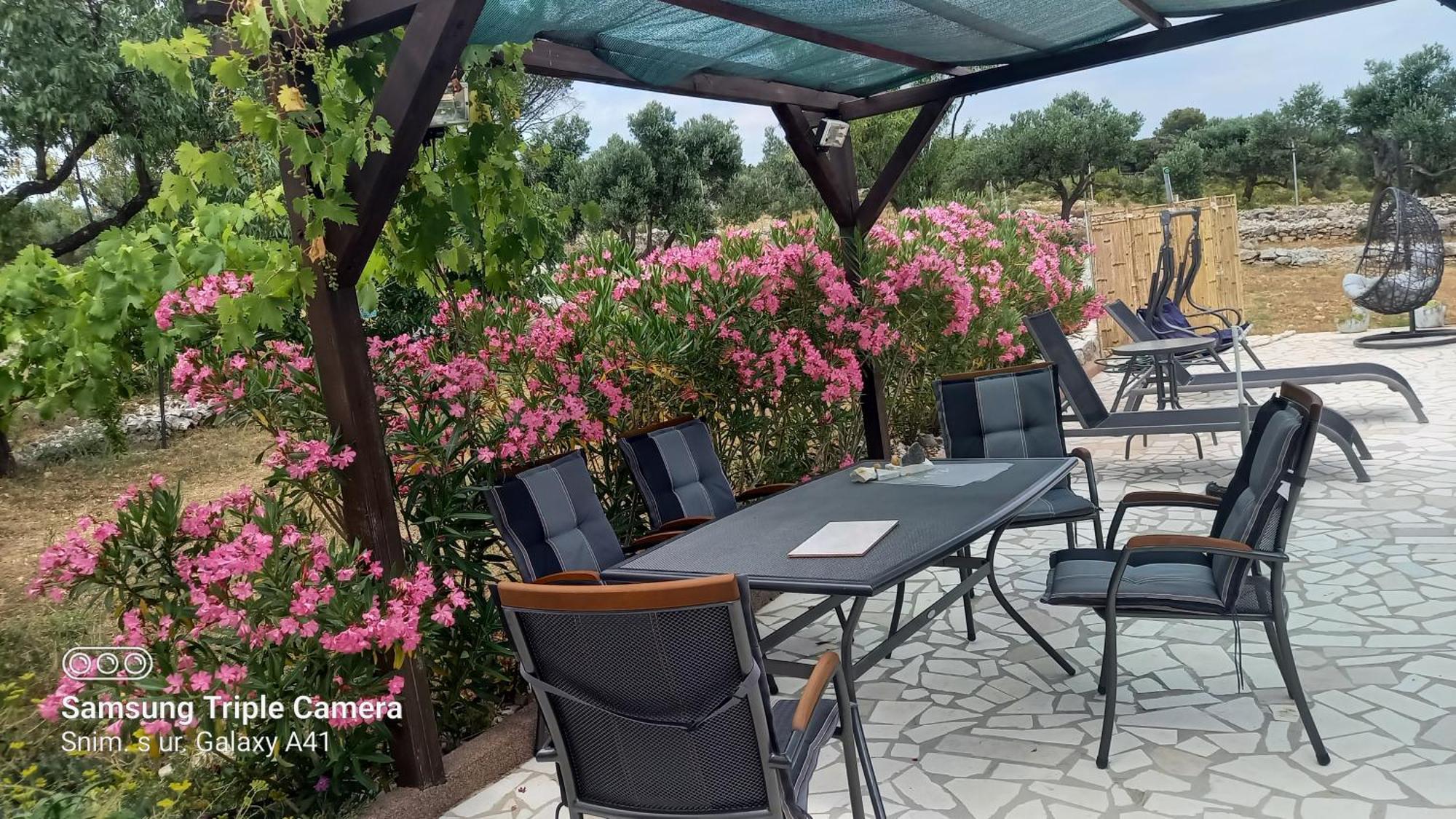 Eco Secluded Apartments Zabodarski Čunski Dış mekan fotoğraf