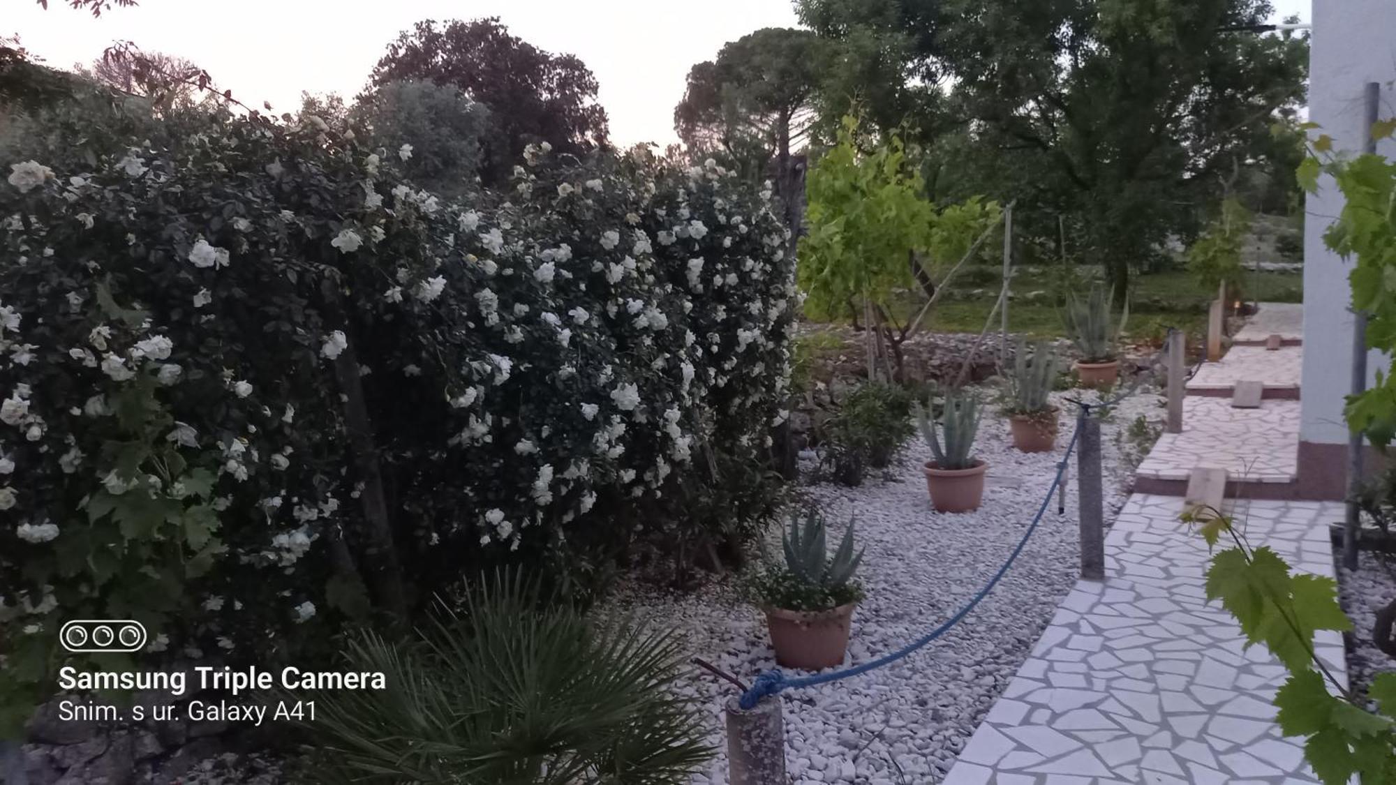 Eco Secluded Apartments Zabodarski Čunski Dış mekan fotoğraf