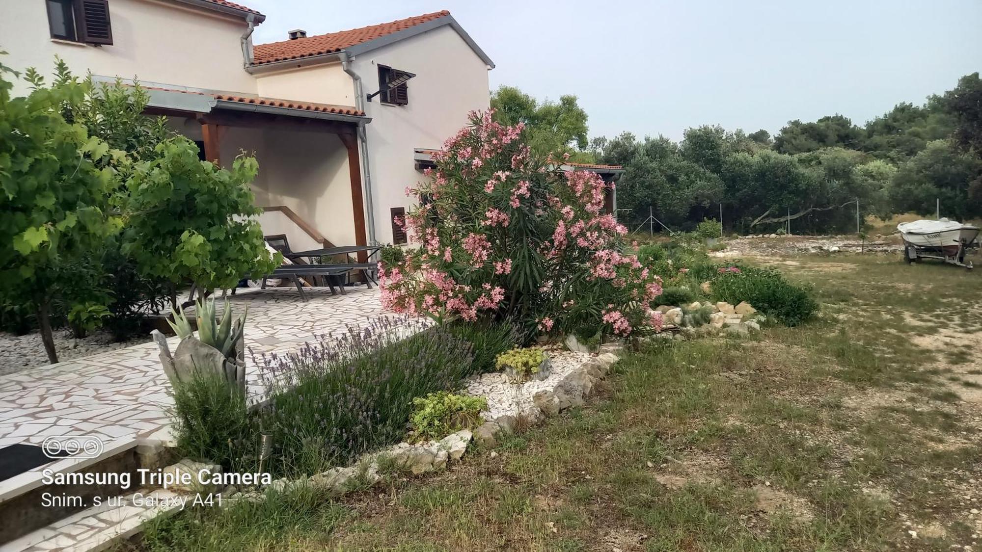 Eco Secluded Apartments Zabodarski Čunski Dış mekan fotoğraf