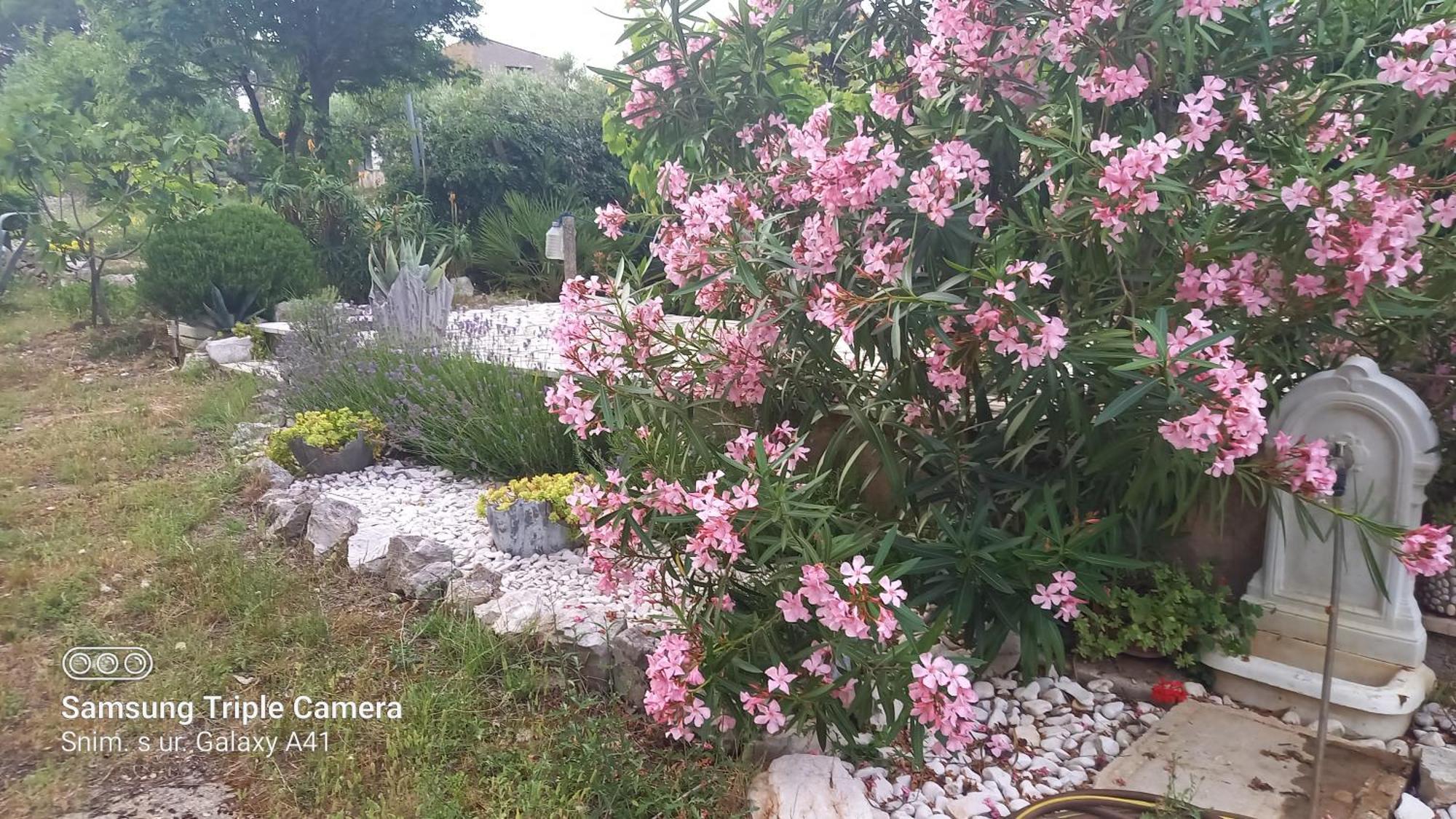Eco Secluded Apartments Zabodarski Čunski Dış mekan fotoğraf