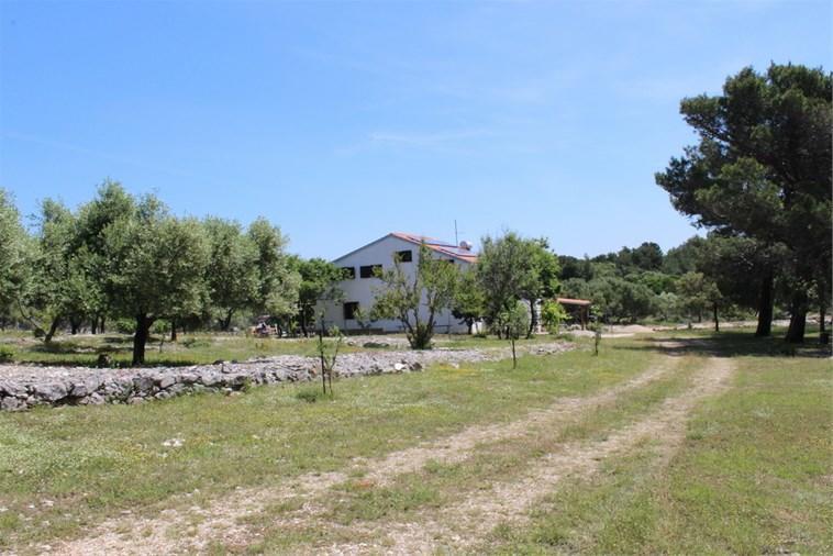 Eco Secluded Apartments Zabodarski Čunski Dış mekan fotoğraf