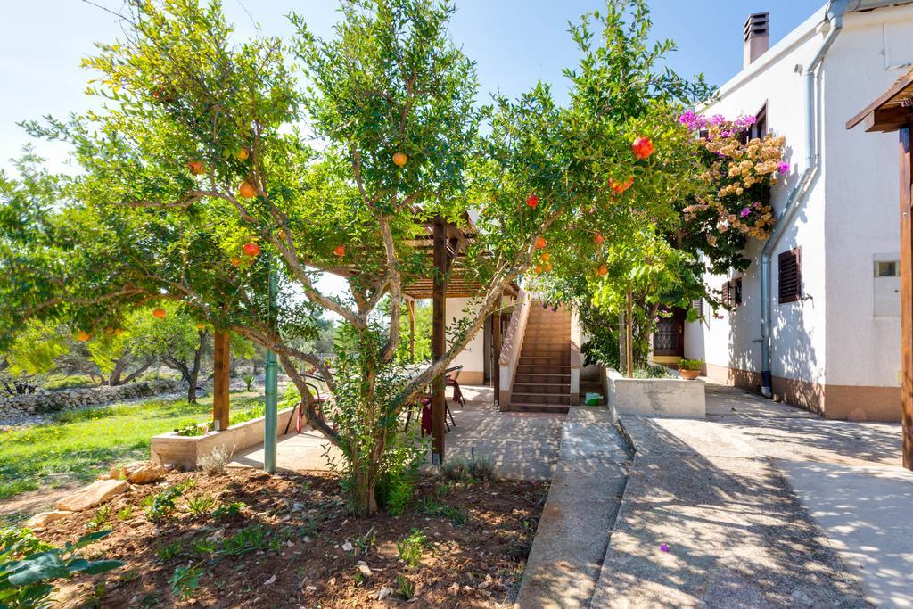 Eco Secluded Apartments Zabodarski Čunski Dış mekan fotoğraf