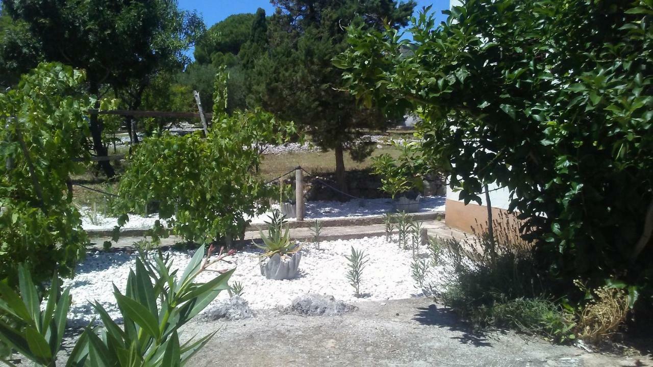 Eco Secluded Apartments Zabodarski Čunski Dış mekan fotoğraf